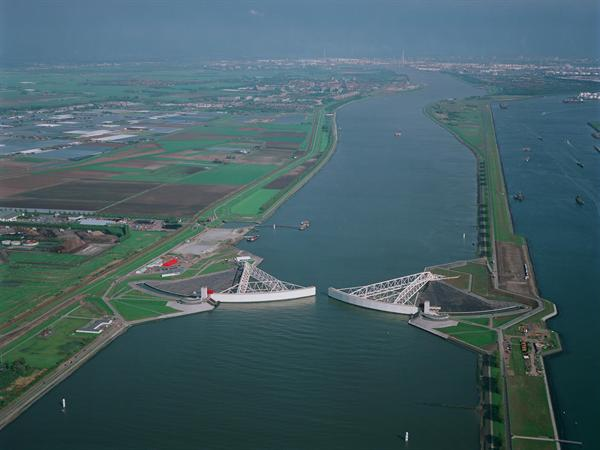 Tulips & Windmills